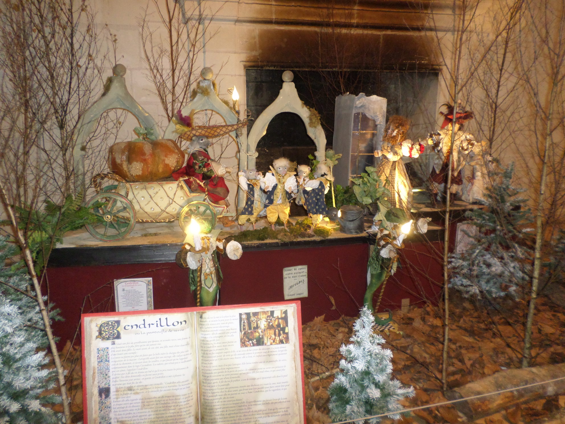 SAMSUNG CAMERA PICTURES