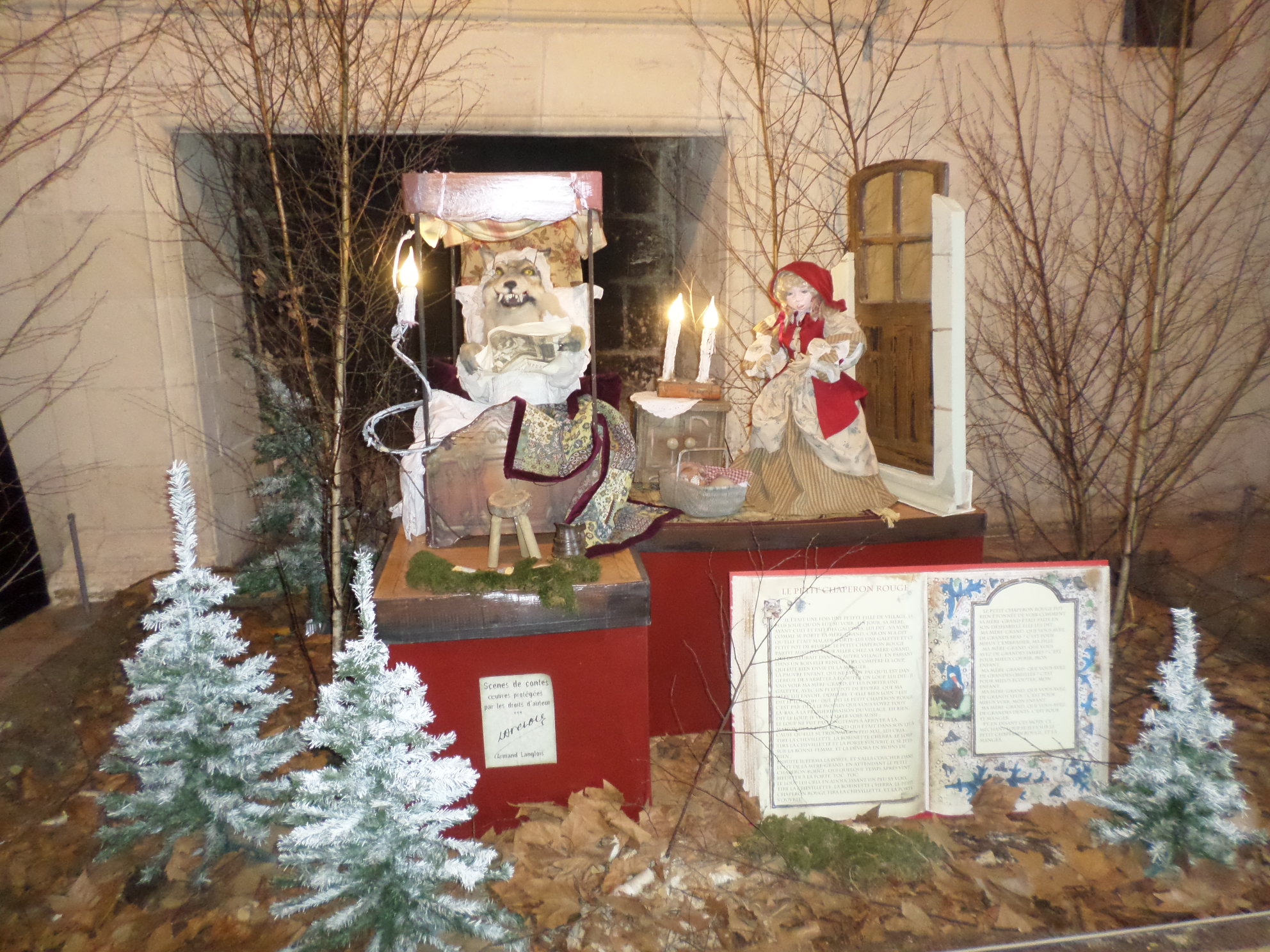 SAMSUNG CAMERA PICTURES