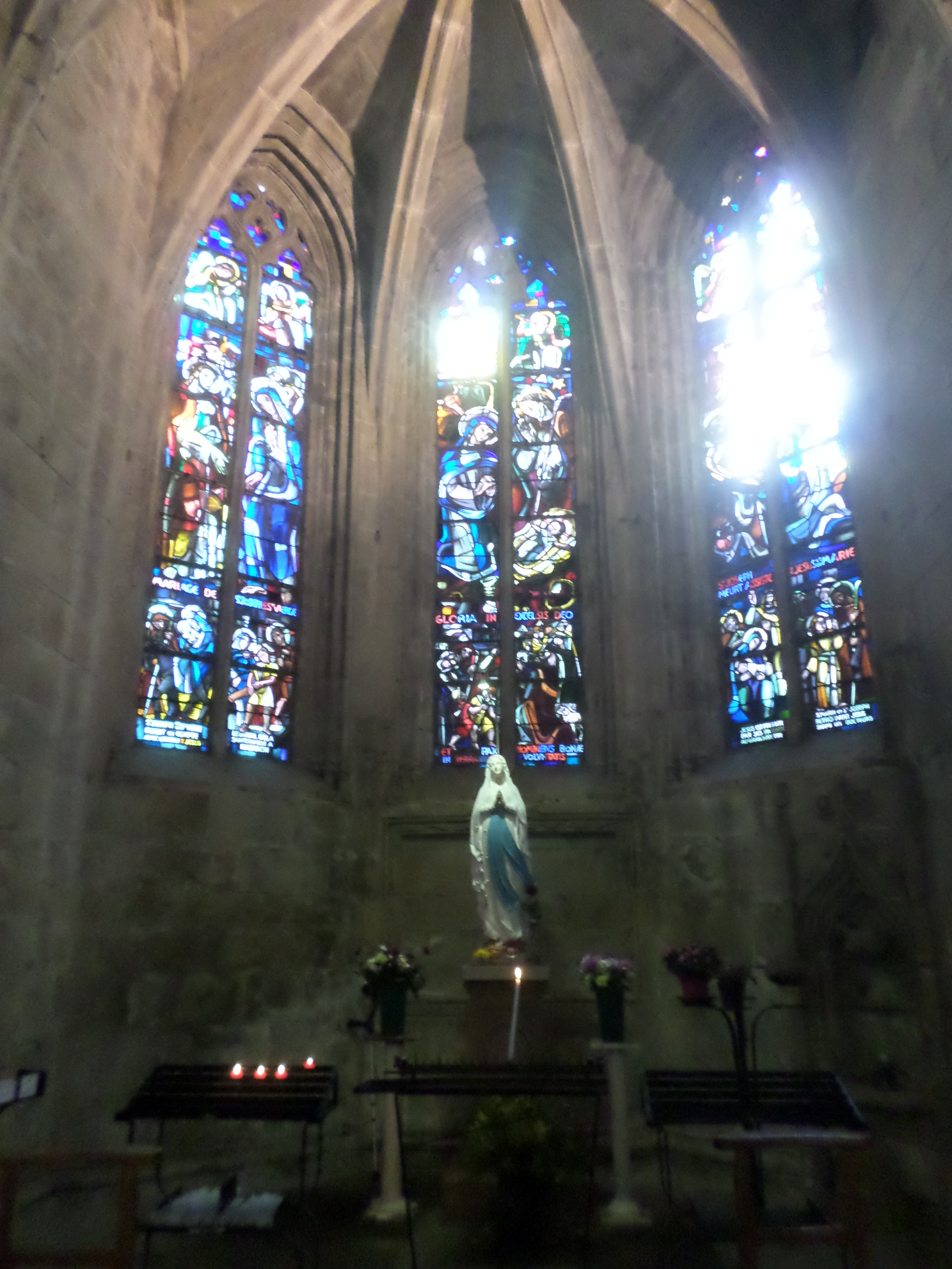 SAMSUNG CAMERA PICTURES