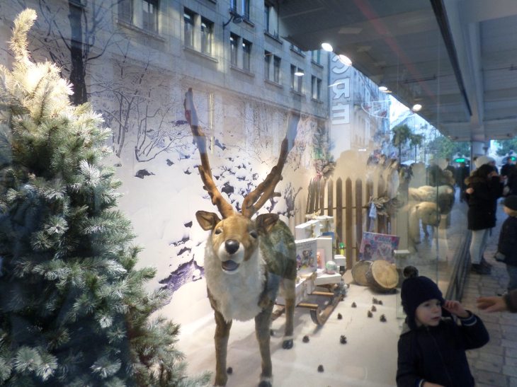 SAMSUNG CAMERA PICTURES