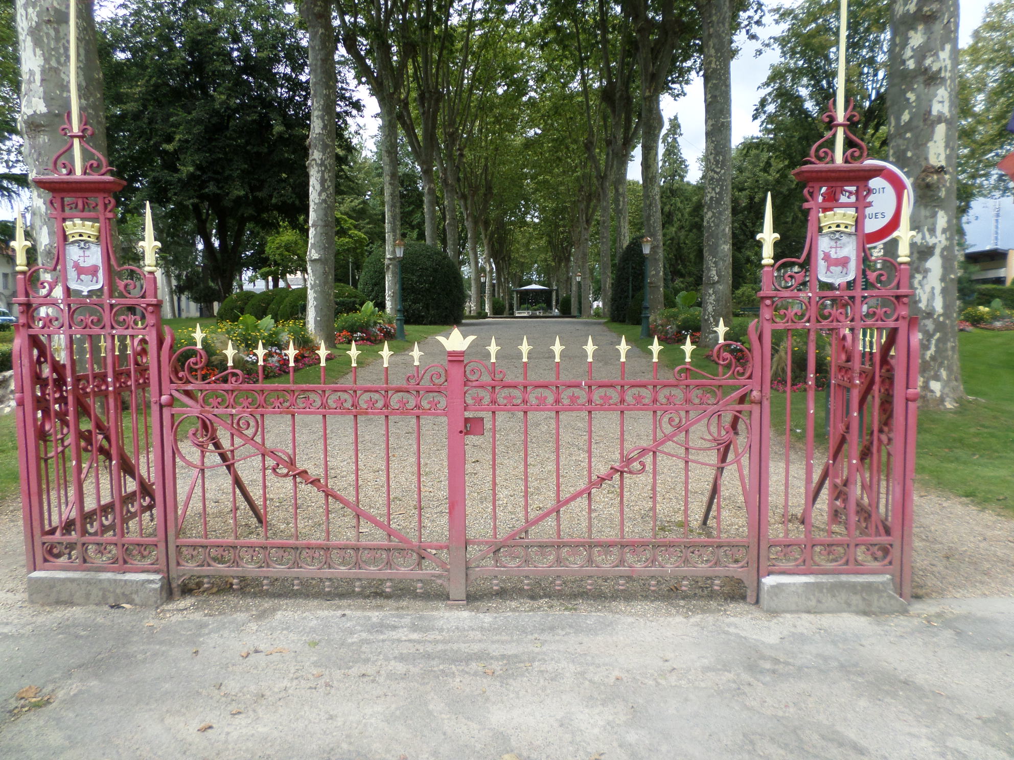 SAMSUNG CAMERA PICTURES