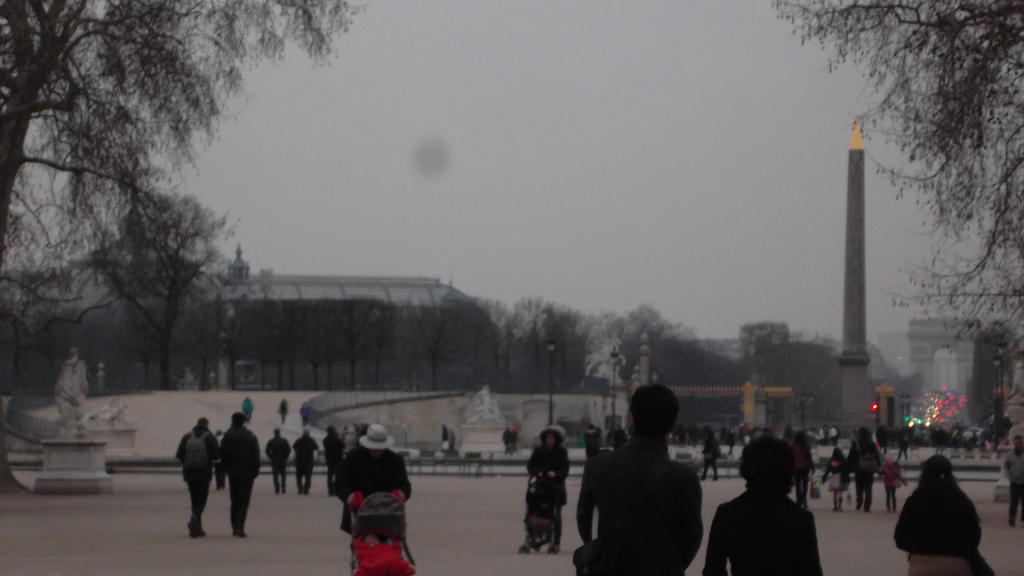 paris-jardin-des-tuileries-cheval-de-fer-bassin-octogonal-mar13