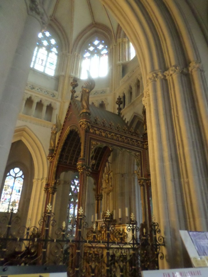 SAMSUNG CAMERA PICTURES