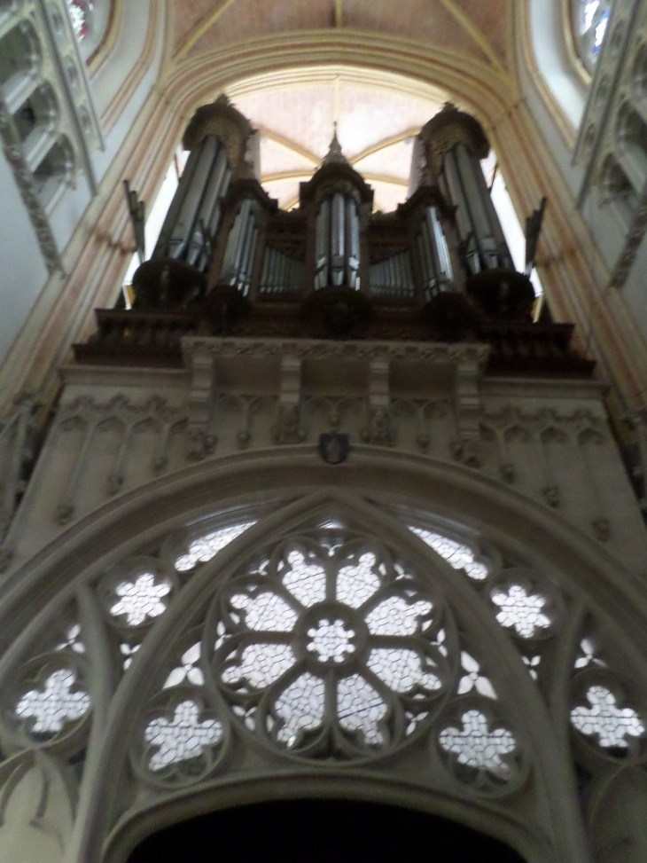 SAMSUNG CAMERA PICTURES