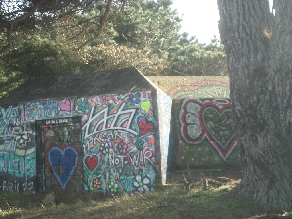 SAMSUNG CAMERA PICTURES