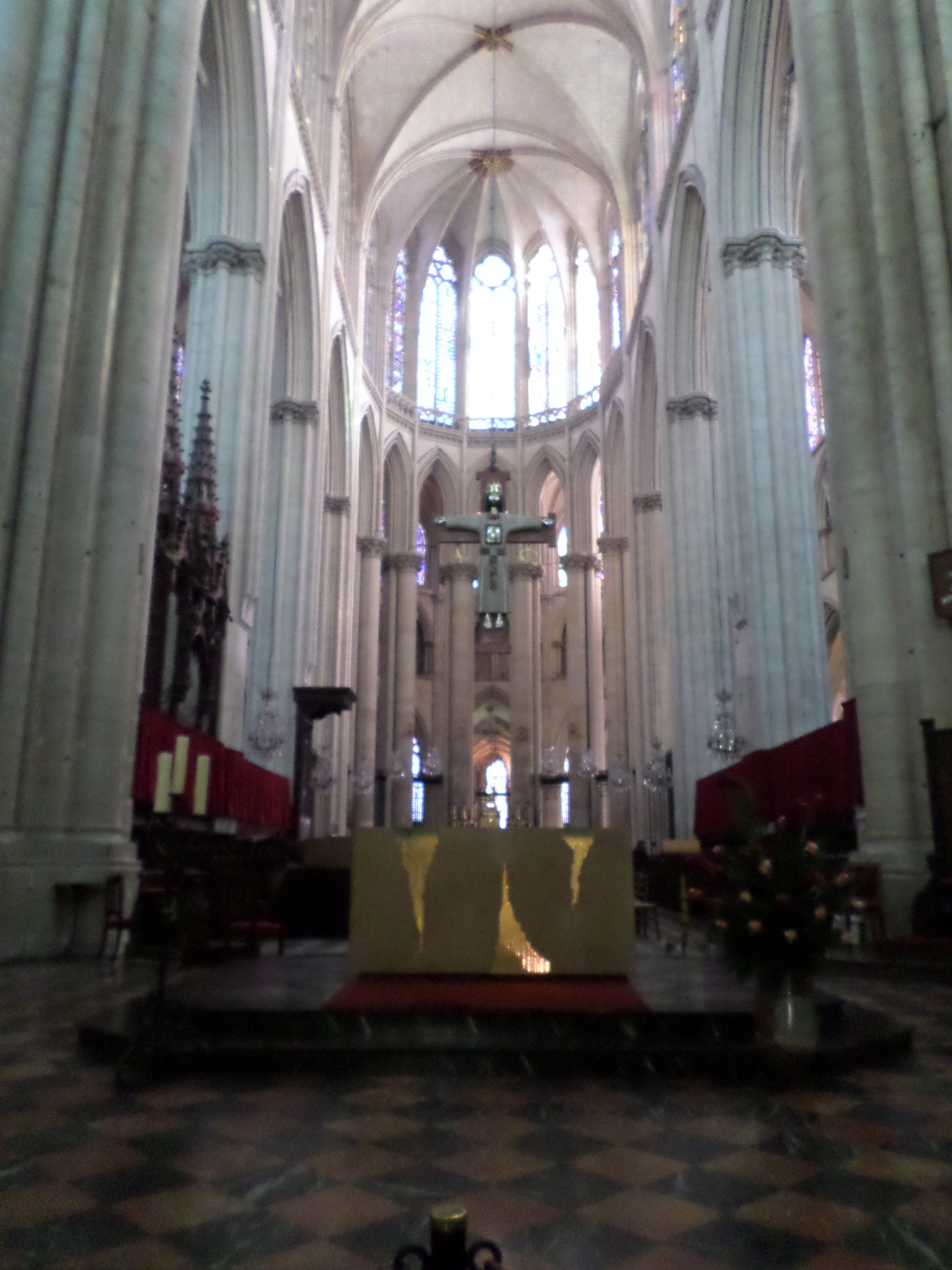 SAMSUNG CAMERA PICTURES