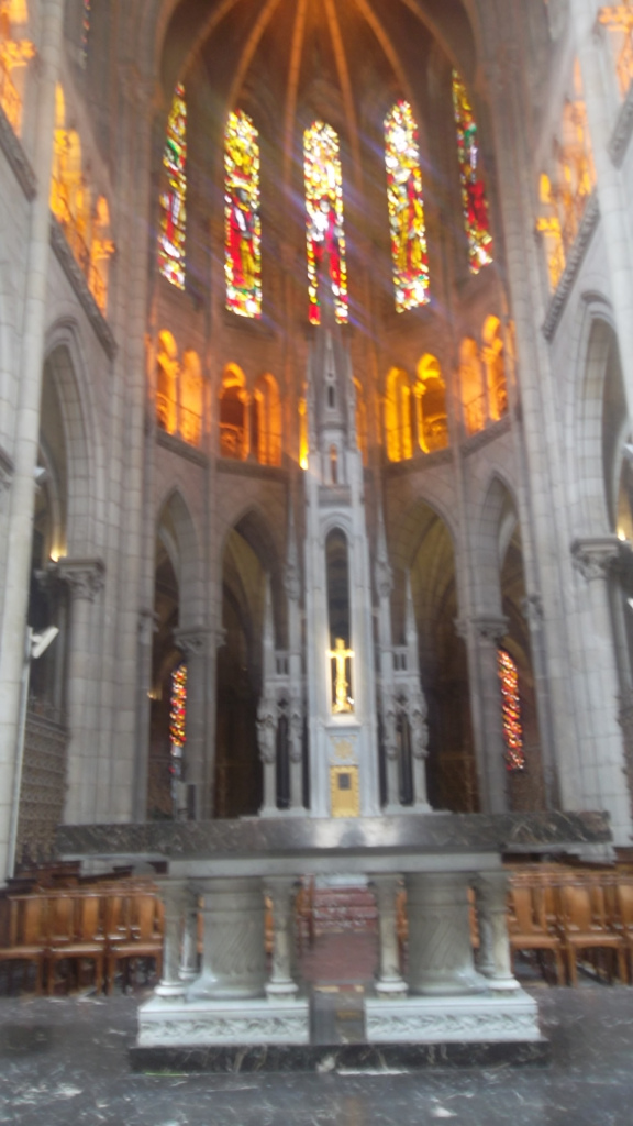 nantes-basilique-saint-nicolas-nave-my13