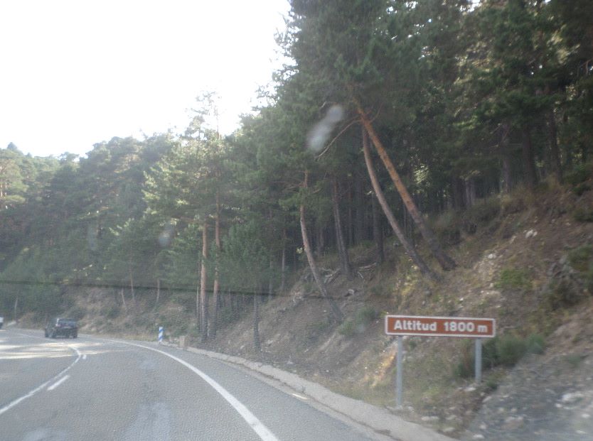 Navacerrada from La Granja at 1800 meters on way to Puerto de Navacerrada aug16