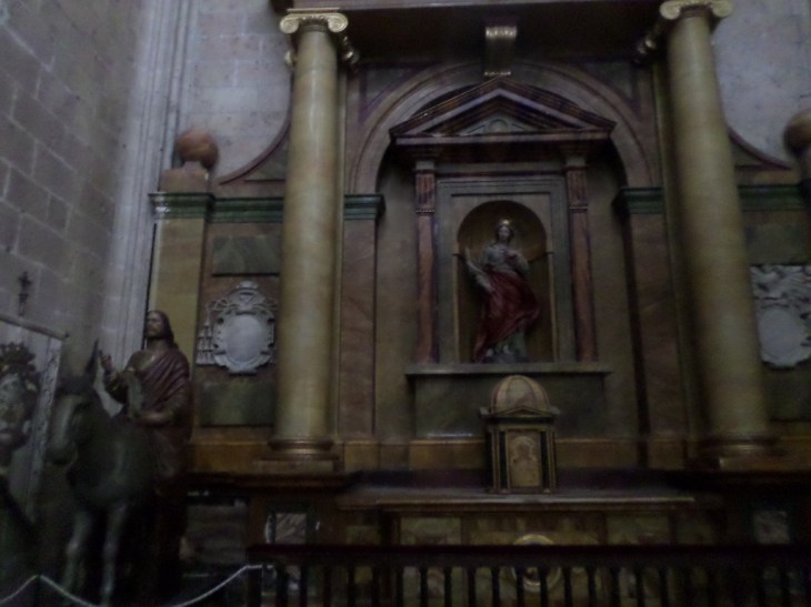 SAMSUNG CAMERA PICTURES