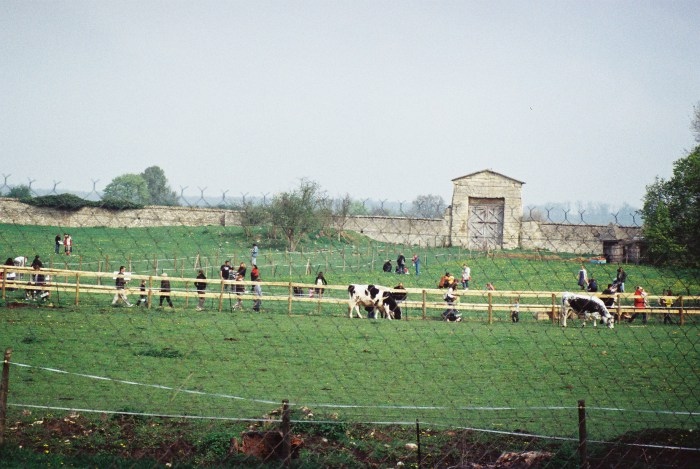 st-cyr-lc3a9cole-ferme-de-gally-c-1741