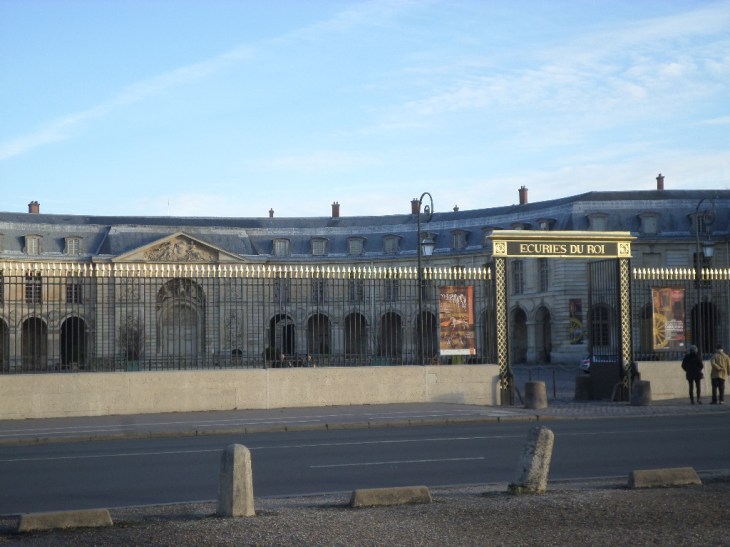 SAMSUNG CAMERA PICTURES