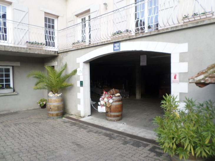 SAMSUNG CAMERA PICTURES