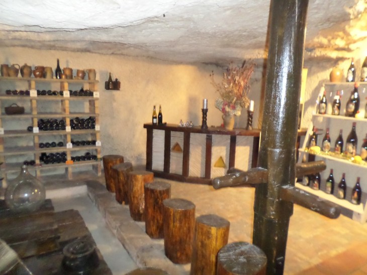 SAMSUNG CAMERA PICTURES