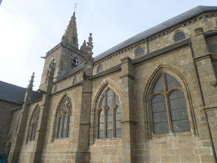 SAMSUNG CAMERA PICTURES