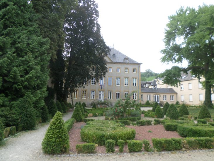 SAMSUNG CAMERA PICTURES