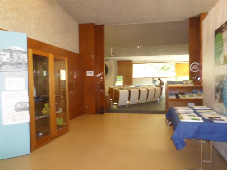 SAMSUNG CAMERA PICTURES