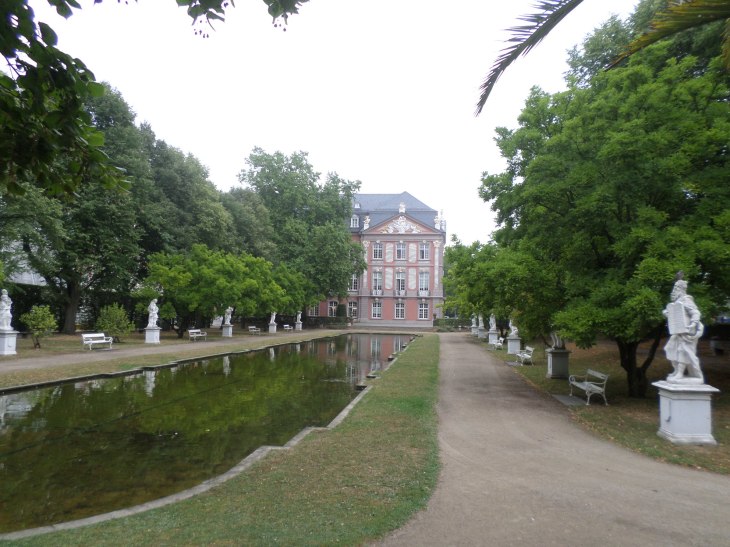 SAMSUNG CAMERA PICTURES