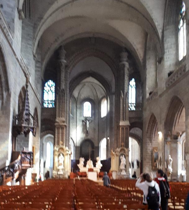 vannes-cat-st-pierre-nave-mar19