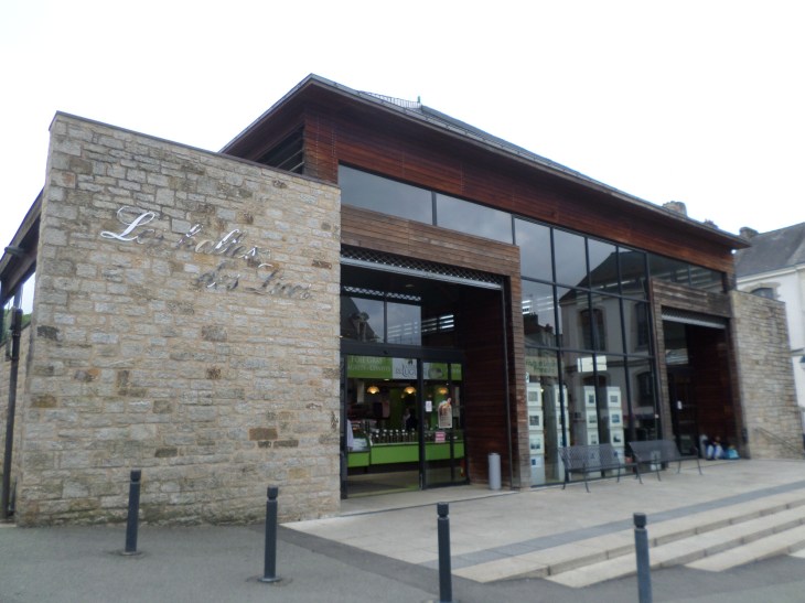 SAMSUNG CAMERA PICTURES