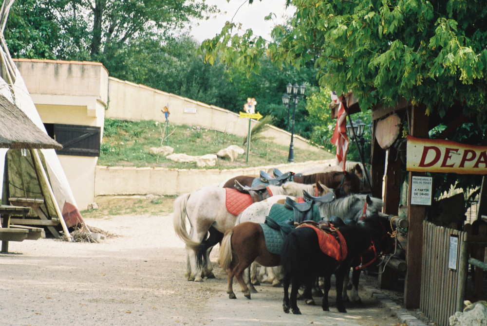 cadujac farm south bordeaux aug08