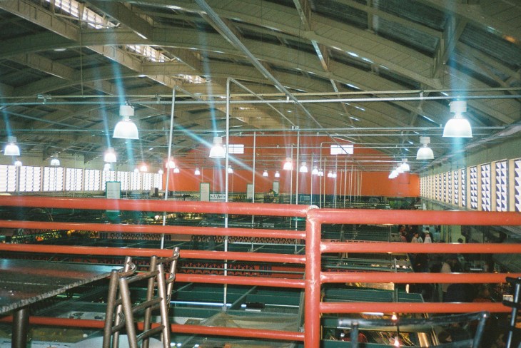 curitiba mercado central above jul08