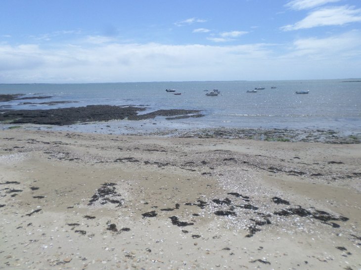 SAMSUNG CAMERA PICTURES