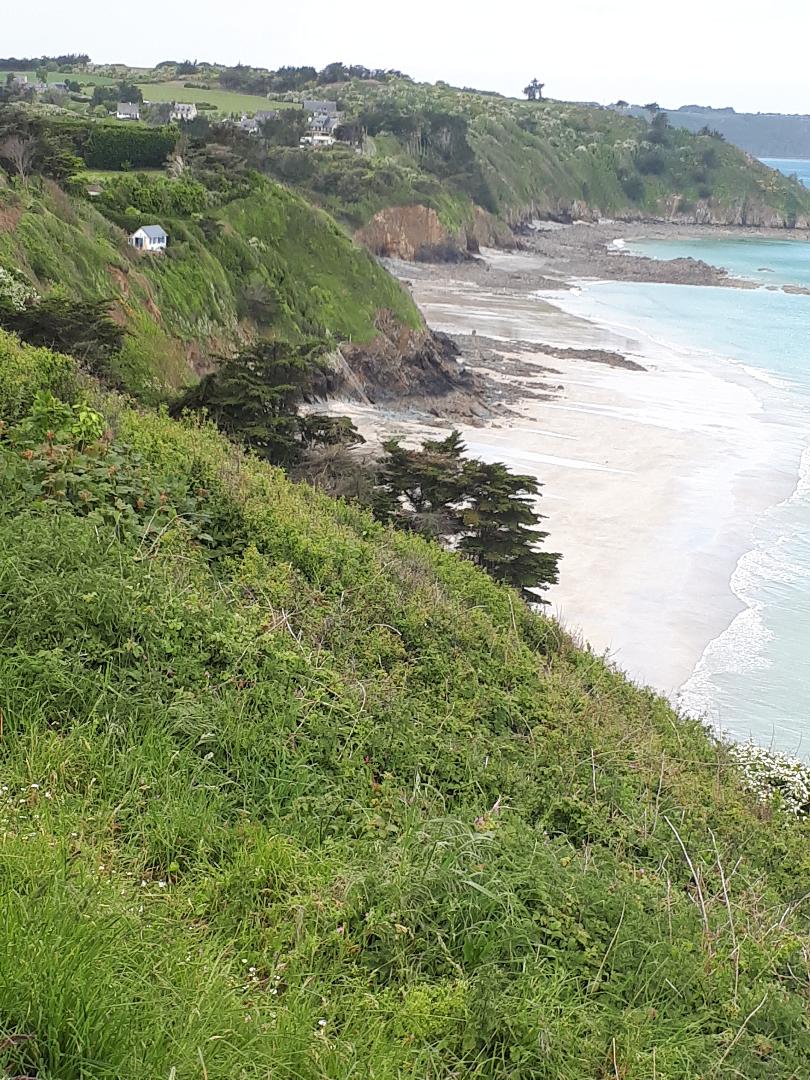 plerin Pointe du Roselier Martin-Plage closeup may21