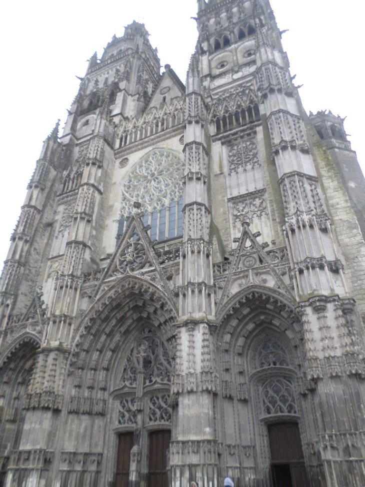 SAMSUNG CAMERA PICTURES