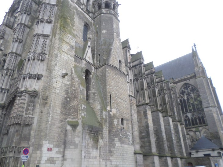 SAMSUNG CAMERA PICTURES