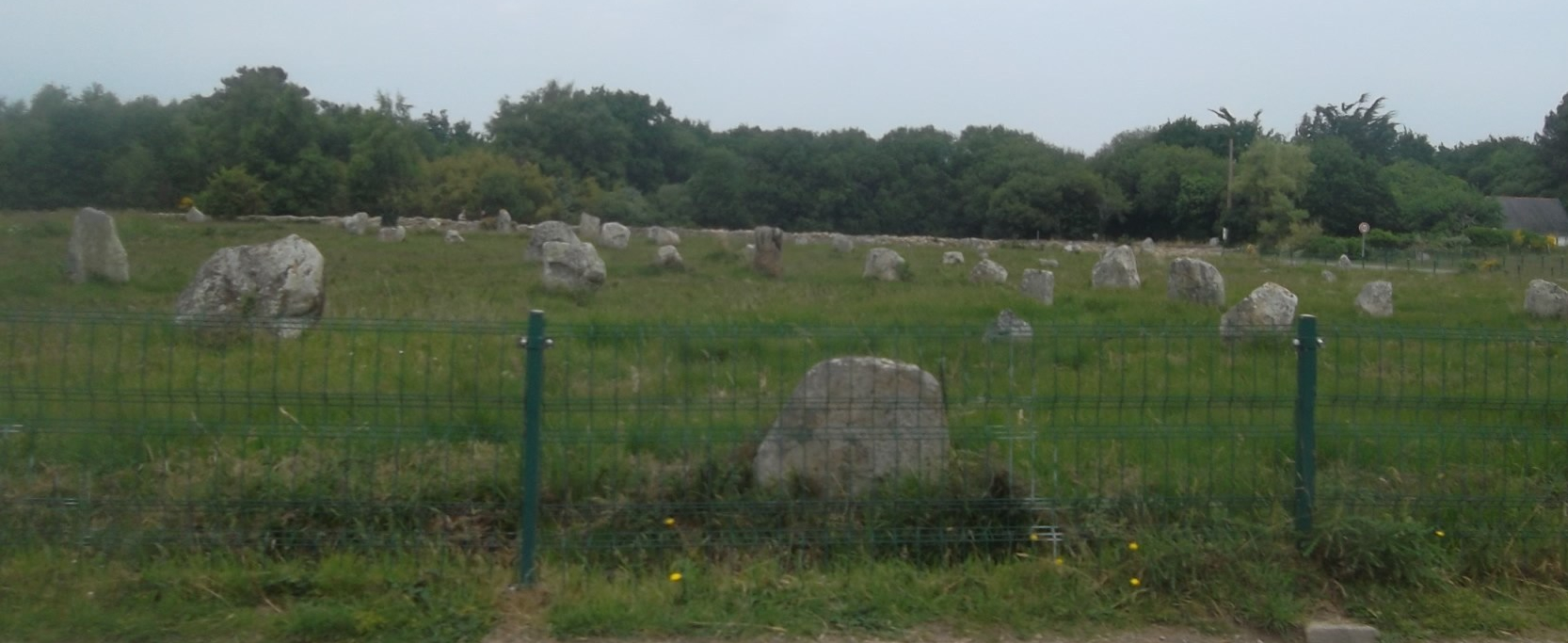 carnac-menec-stones jul12