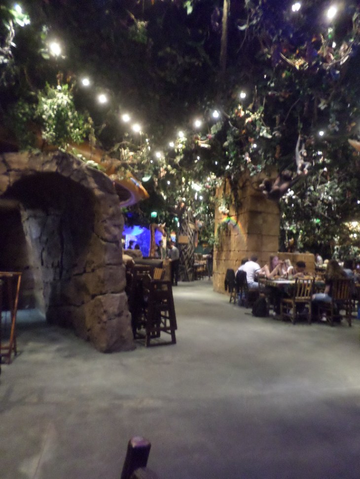 SAMSUNG CAMERA PICTURES