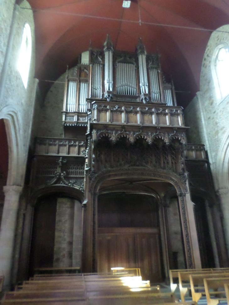 SAMSUNG CAMERA PICTURES