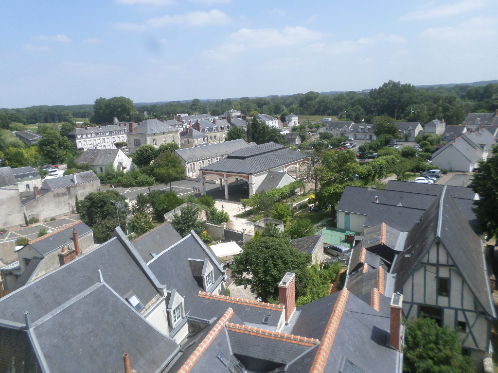 SAMSUNG CAMERA PICTURES