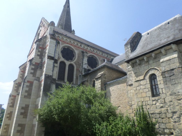 SAMSUNG CAMERA PICTURES