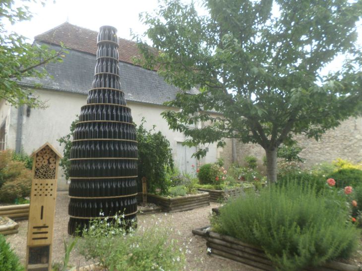 SAMSUNG CAMERA PICTURES