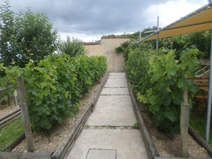 SAMSUNG CAMERA PICTURES