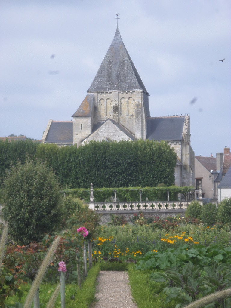 SAMSUNG CAMERA PICTURES