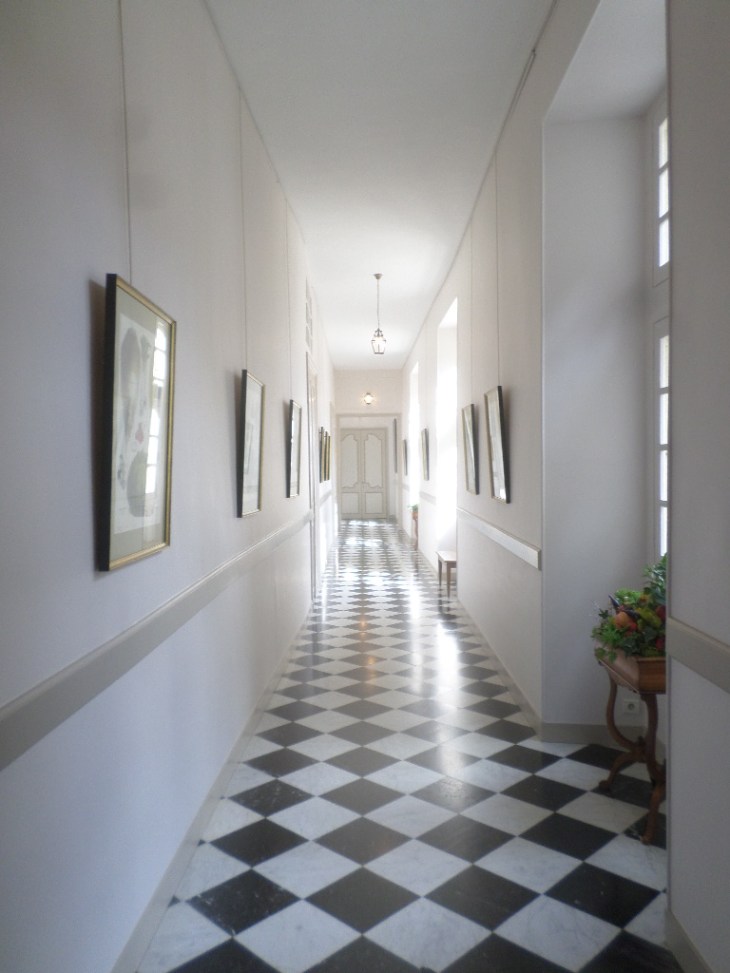 SAMSUNG CAMERA PICTURES