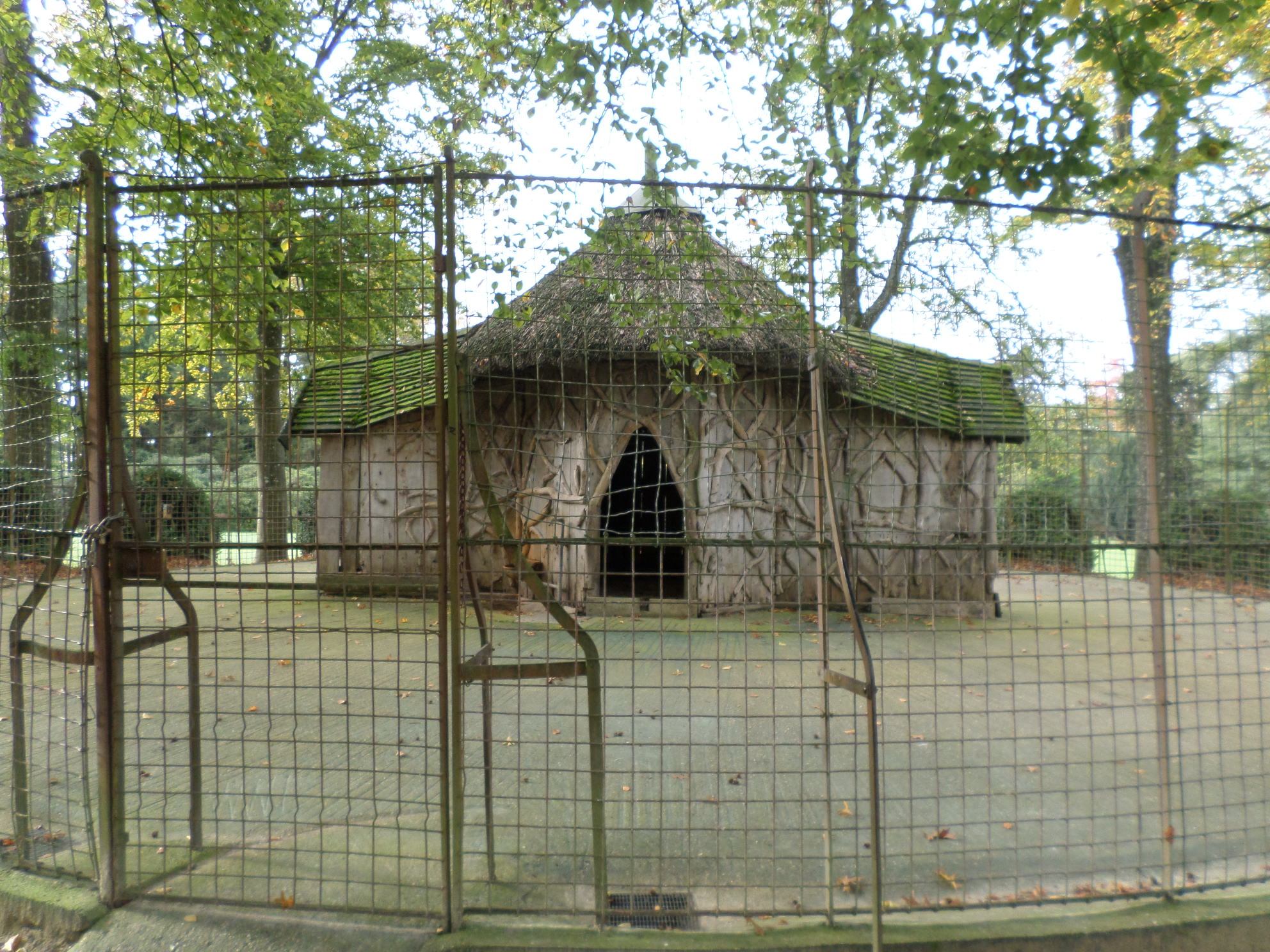 SAMSUNG CAMERA PICTURES