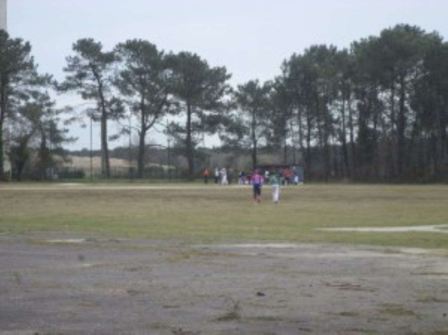 grand champ baseball outfield c jul17