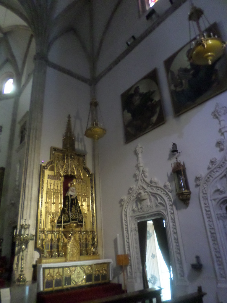 SAMSUNG CAMERA PICTURES