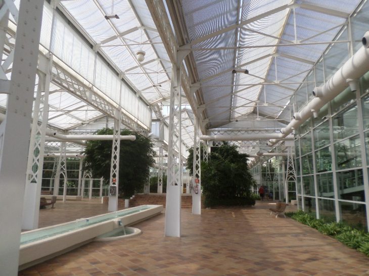 SAMSUNG CAMERA PICTURES