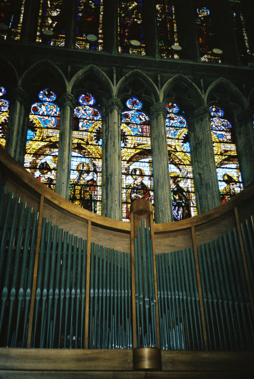 metz-cat-organ-and-glass