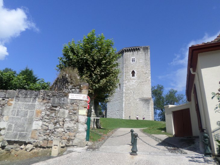 SAMSUNG CAMERA PICTURES