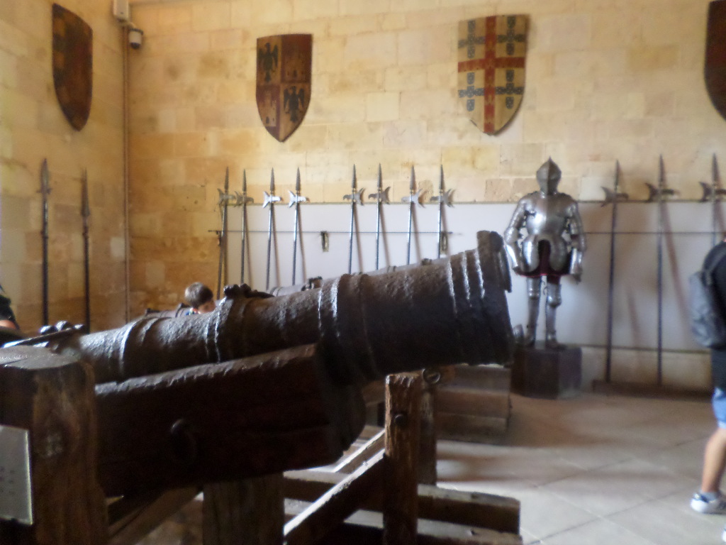 SAMSUNG CAMERA PICTURES