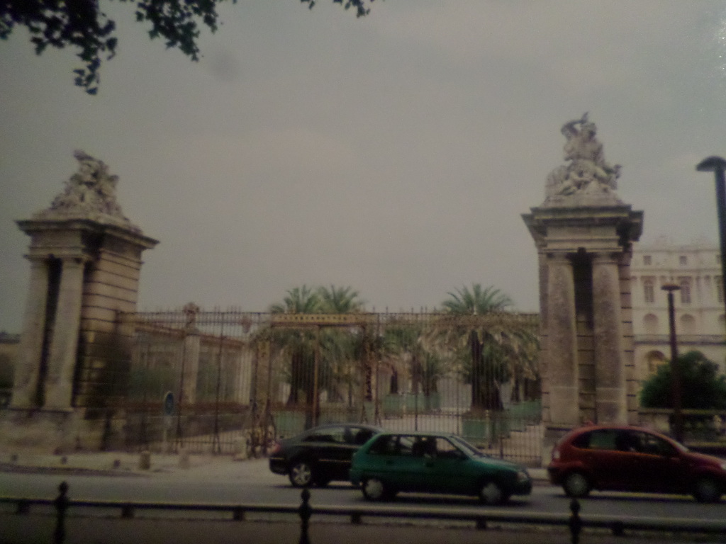 SAMSUNG CAMERA PICTURES