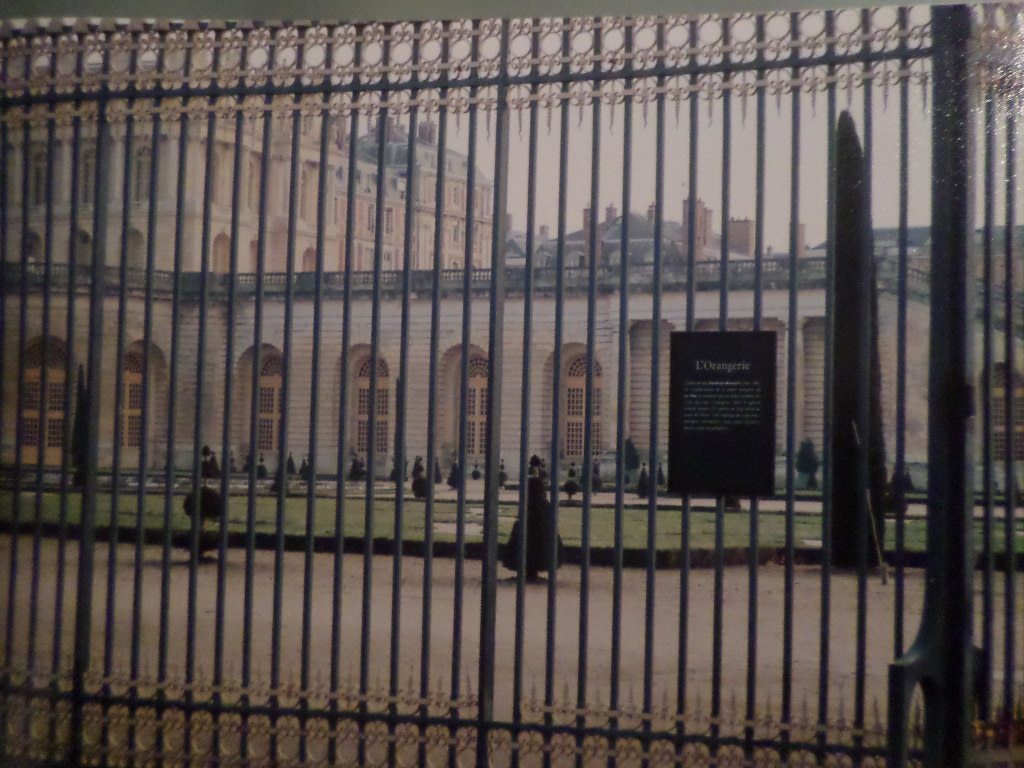 SAMSUNG CAMERA PICTURES