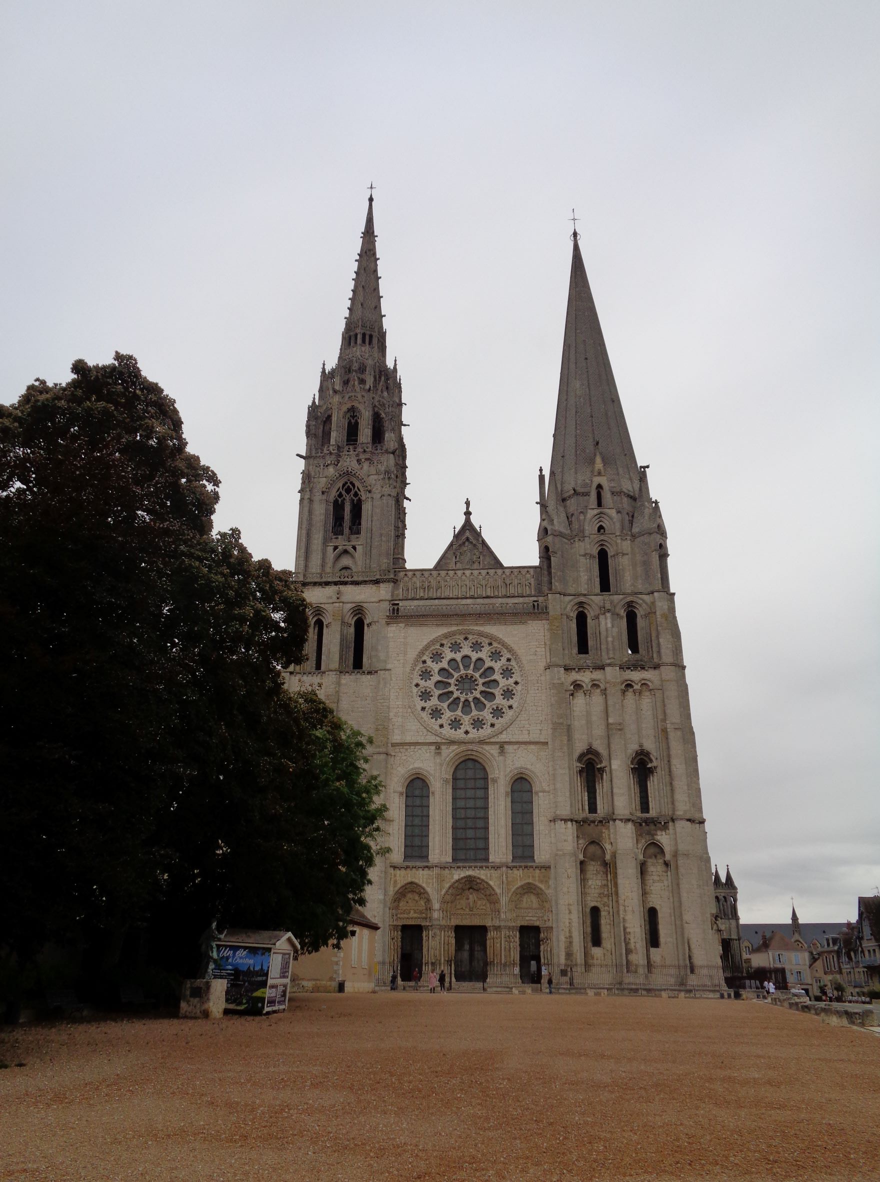 Chartres Cat ND front sep21