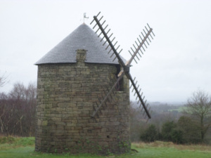 SAMSUNG CAMERA PICTURES