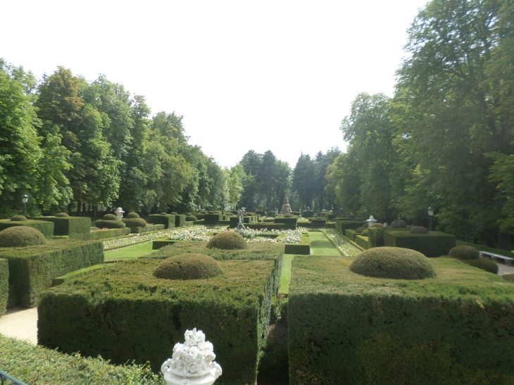 SAMSUNG CAMERA PICTURES